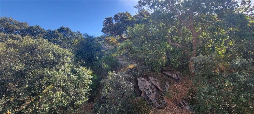 5 makuuhuone Maalaistalo myytävänä paikassa Montanchez mukana uima-altaan 
autotalli - 690 000 € (Ref: 9807047)