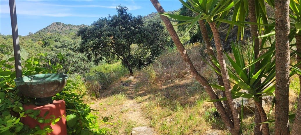 5 makuuhuone Maalaistalo myytävänä paikassa Montanchez mukana uima-altaan 
autotalli - 690 000 € (Ref: 9807047)