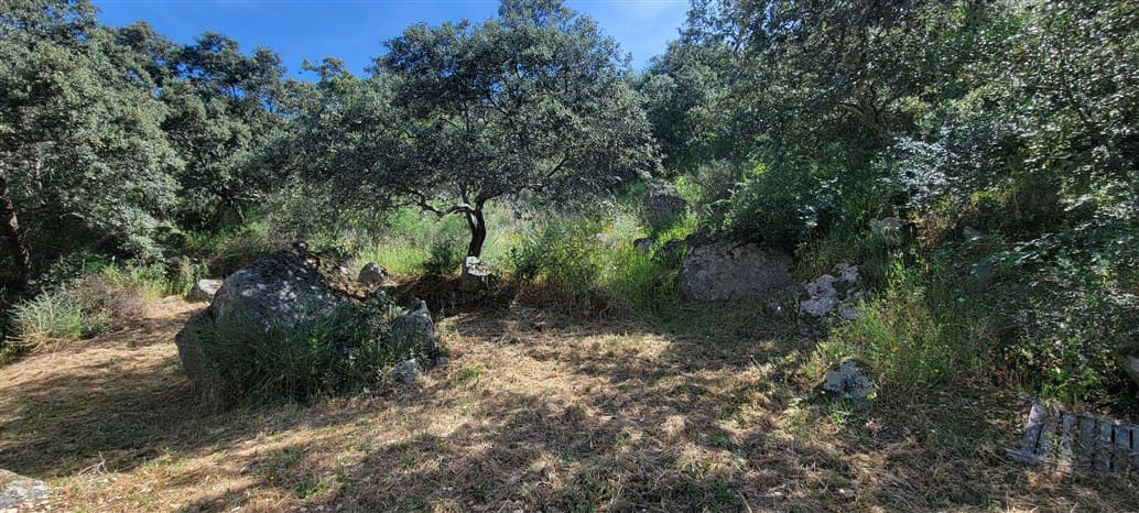 5 makuuhuone Maalaistalo myytävänä paikassa Montanchez mukana uima-altaan 
autotalli - 690 000 € (Ref: 9807047)