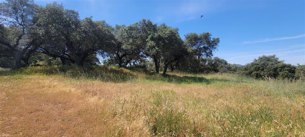 5 makuuhuone Maalaistalo myytävänä paikassa Montanchez mukana uima-altaan 
autotalli - 690 000 € (Ref: 9807047)