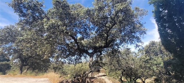 5 slaapkamer Finca/Landhuis te koop in Montánchez met zwembad garage - € 690.000 (Ref: 9807047)