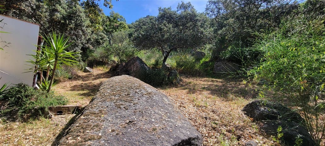 5 makuuhuone Maalaistalo myytävänä paikassa Montanchez mukana uima-altaan 
autotalli - 690 000 € (Ref: 9807047)