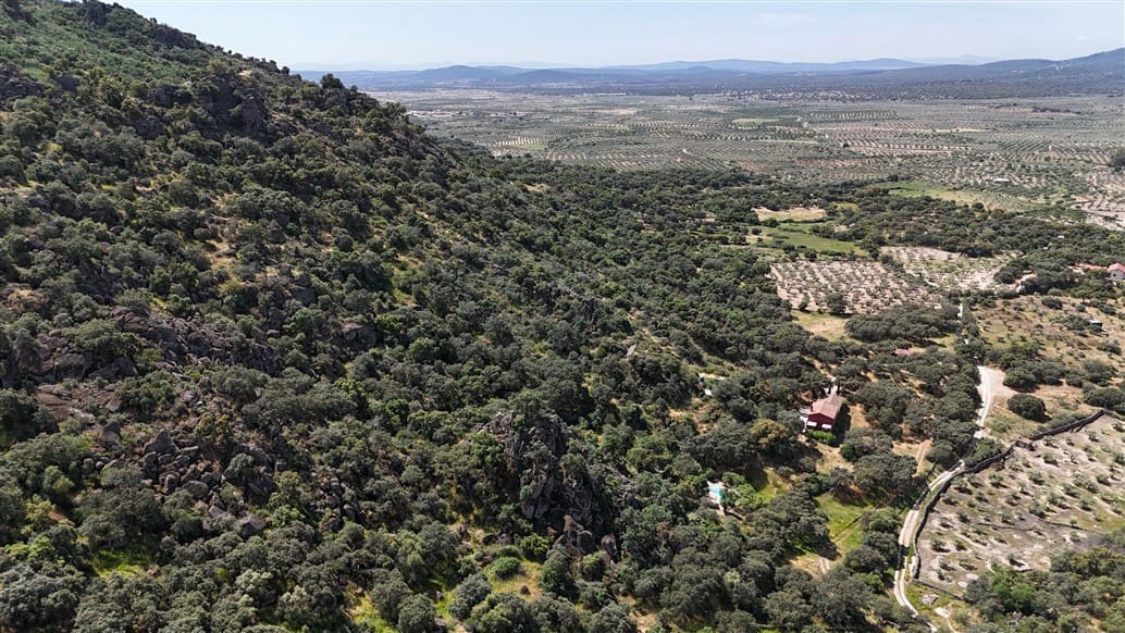 5 makuuhuone Maalaistalo myytävänä paikassa Montanchez mukana uima-altaan 
autotalli - 690 000 € (Ref: 9807047)