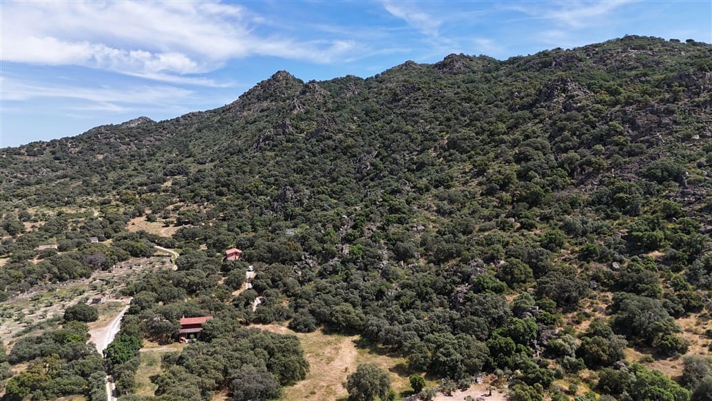 5 makuuhuone Maalaistalo myytävänä paikassa Montanchez mukana uima-altaan 
autotalli - 690 000 € (Ref: 9807047)