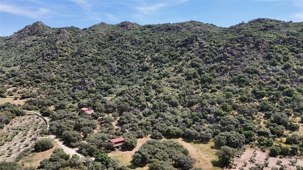 5 makuuhuone Maalaistalo myytävänä paikassa Montanchez mukana uima-altaan 
autotalli - 690 000 € (Ref: 9807047)