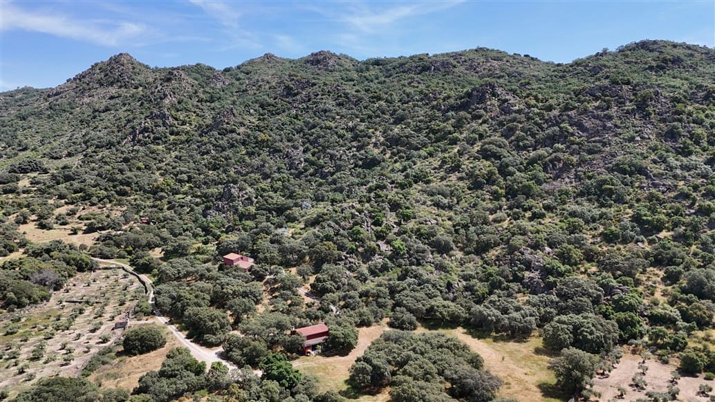 5 makuuhuone Maalaistalo myytävänä paikassa Montanchez mukana uima-altaan 
autotalli - 690 000 € (Ref: 9807047)