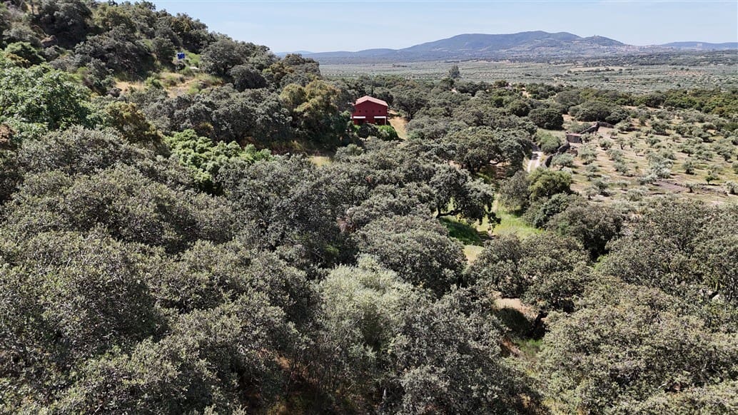 5 makuuhuone Maalaistalo myytävänä paikassa Montanchez mukana uima-altaan 
autotalli - 690 000 € (Ref: 9807047)