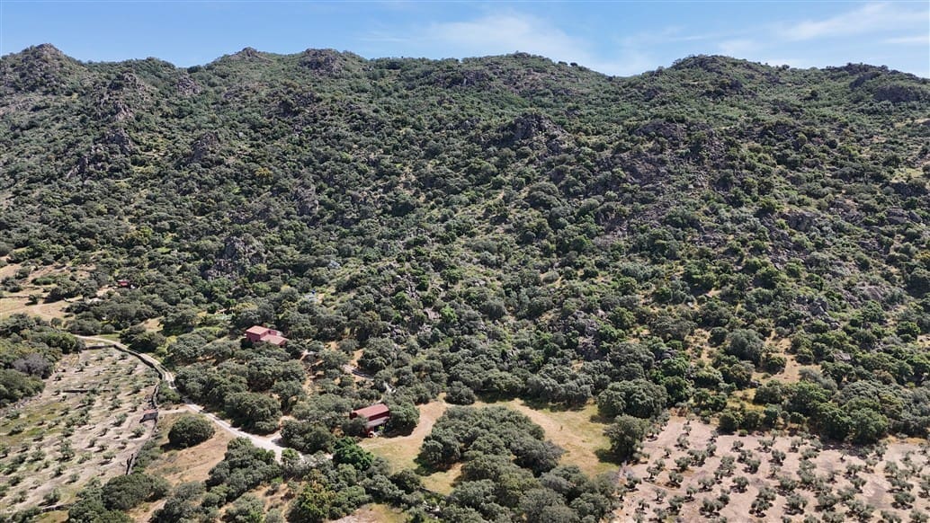 5 makuuhuone Maalaistalo myytävänä paikassa Montanchez mukana uima-altaan 
autotalli - 690 000 € (Ref: 9807047)