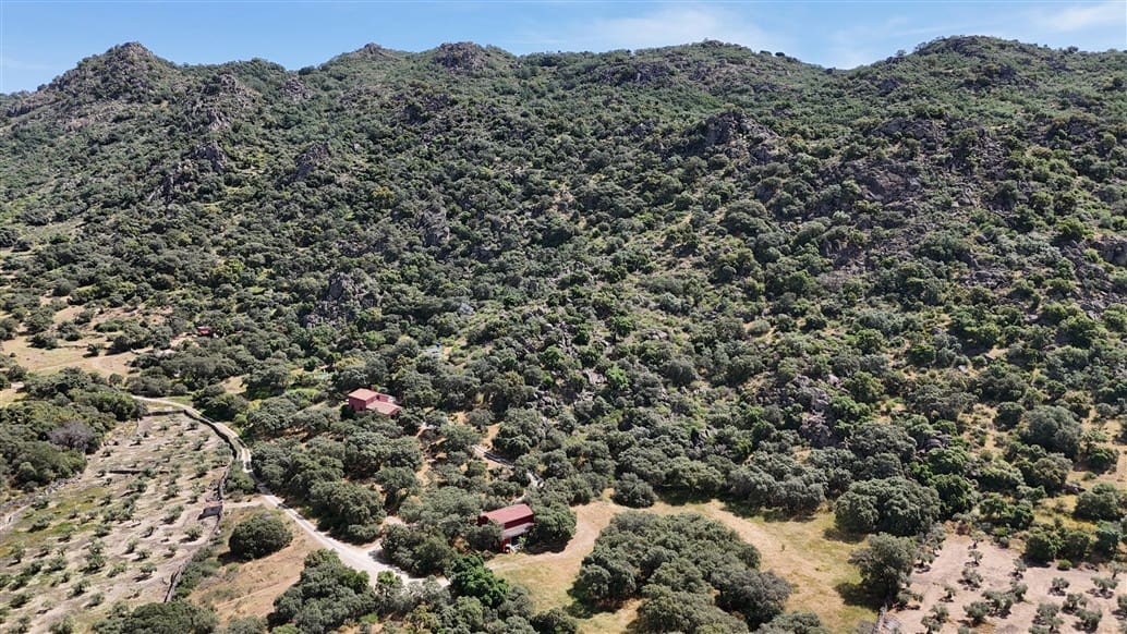 5 makuuhuone Maalaistalo myytävänä paikassa Montanchez mukana uima-altaan 
autotalli - 690 000 € (Ref: 9807047)