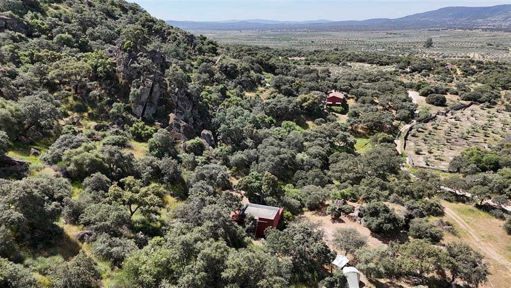 5 makuuhuone Maalaistalo myytävänä paikassa Montanchez mukana uima-altaan 
autotalli - 690 000 € (Ref: 9807047)