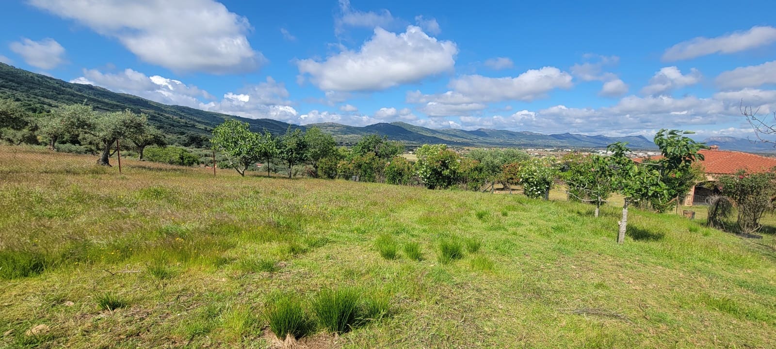 3 bedroom Townhouse for sale in Herrera del Duque with pool garage - € 225,000 (Ref: 9858374)
