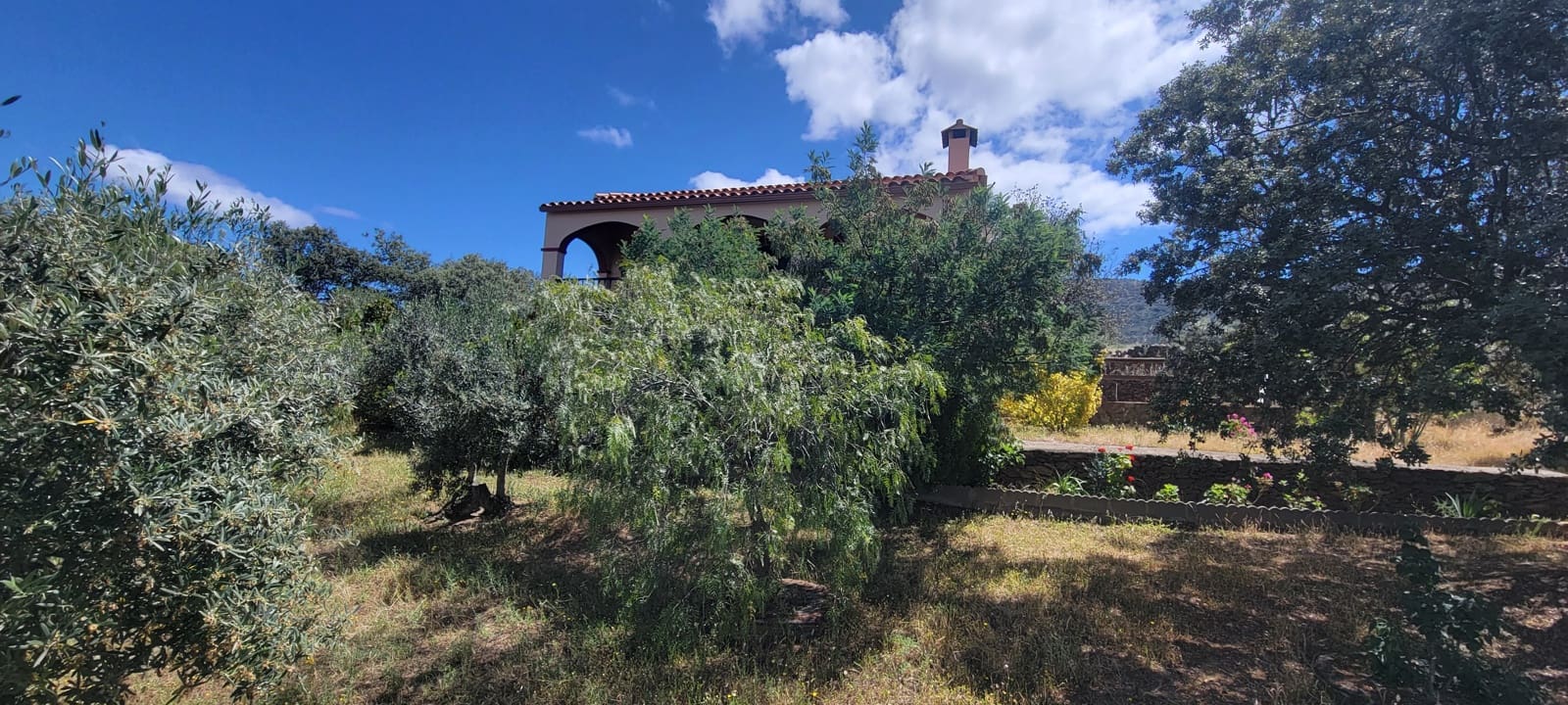 2 Zimmer Finca/Landgut zu verkaufen in Herguijuela mit Garage - 215.000 € (Ref: 9858377)