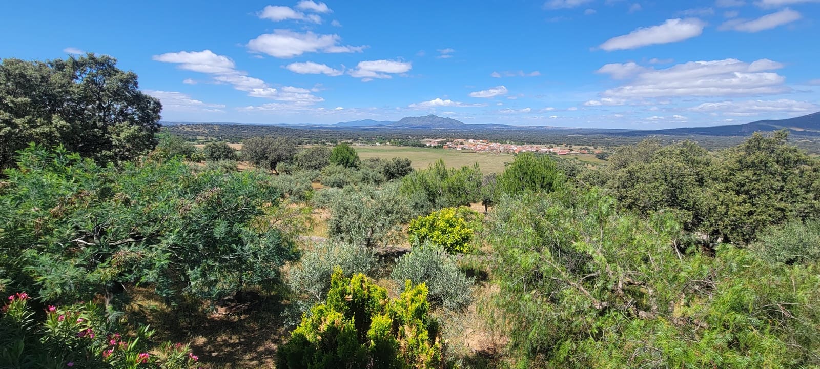 2 Zimmer Finca/Landgut zu verkaufen in Herguijuela mit Garage - 215.000 € (Ref: 9858377)