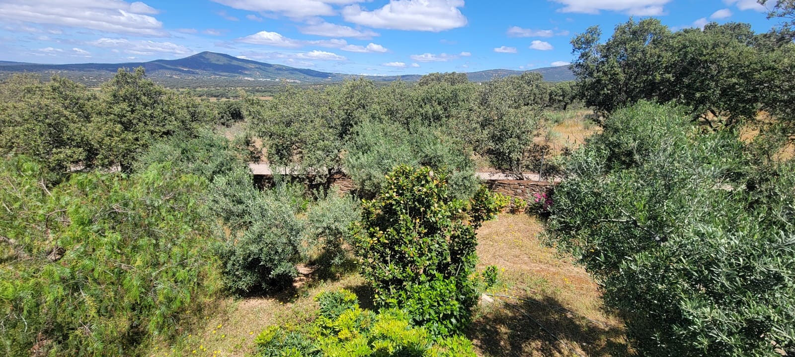 2 Zimmer Finca/Landgut zu verkaufen in Herguijuela mit Garage - 215.000 € (Ref: 9858377)