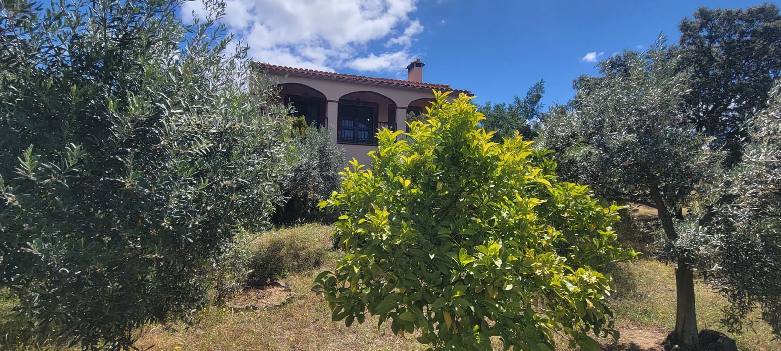 2 Zimmer Finca/Landgut zu verkaufen in Herguijuela mit Garage - 215.000 € (Ref: 9858377)