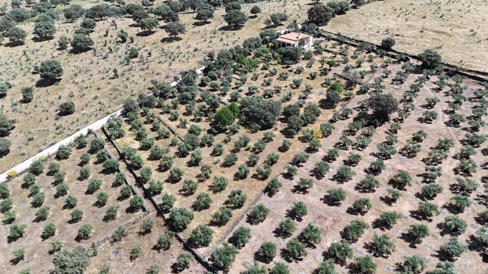 2 Zimmer Finca/Landgut zu verkaufen in Herguijuela mit Garage - 215.000 € (Ref: 9858377)