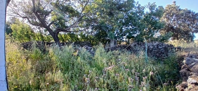 Finca/Casa Rural de 3 habitaciones en Madroñera en venta con garaje - 70.000 € (Ref: 9858391)