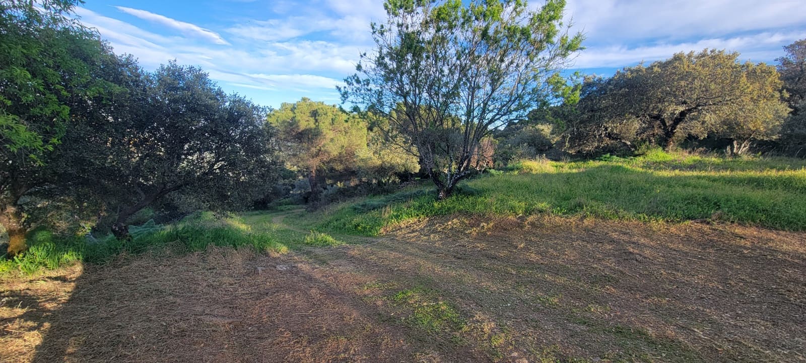 Ruin for sale in Herguijuela - € 180,000 (Ref: 9858569)
