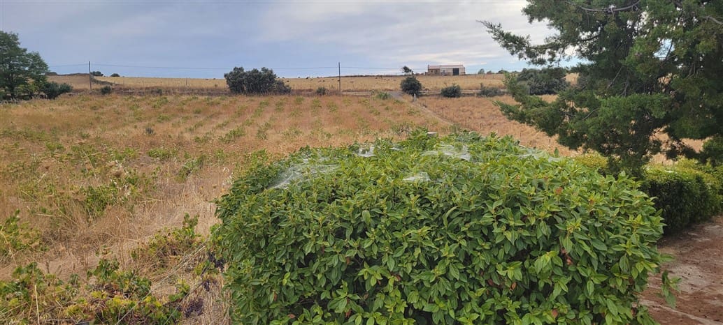 2 Zimmer Finca/Landgut zu vermieten in Trujillo mit Garage - 750 € (Ref: 9860750)