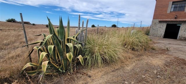 2 Zimmer Finca/Landgut zu vermieten in Trujillo mit Garage - 750 € (Ref: 9860750)