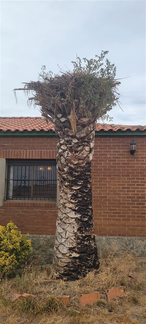 2 Zimmer Finca/Landgut zu vermieten in Trujillo mit Garage - 750 € (Ref: 9860750)