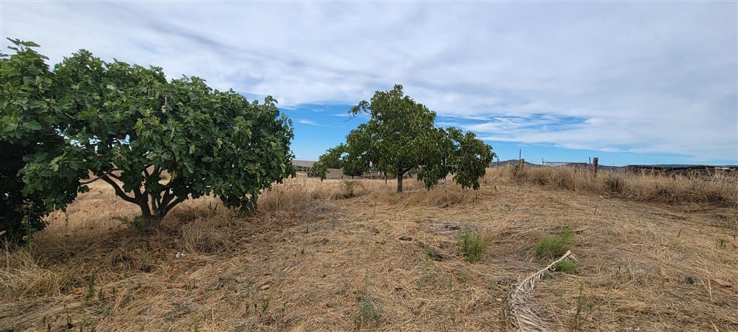 2 Zimmer Finca/Landgut zu vermieten in Trujillo mit Garage - 750 € (Ref: 9860750)