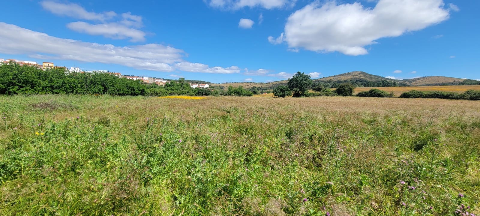 Finca/Country House for sale in Trujillo with garage - € 90,000 (Ref: 9860905)