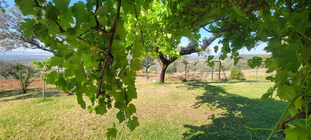 5 soverom Finca/Herregård til salgs i Deleitosa med svømmebasseng garasje - € 750 000 (Ref: 9872497)