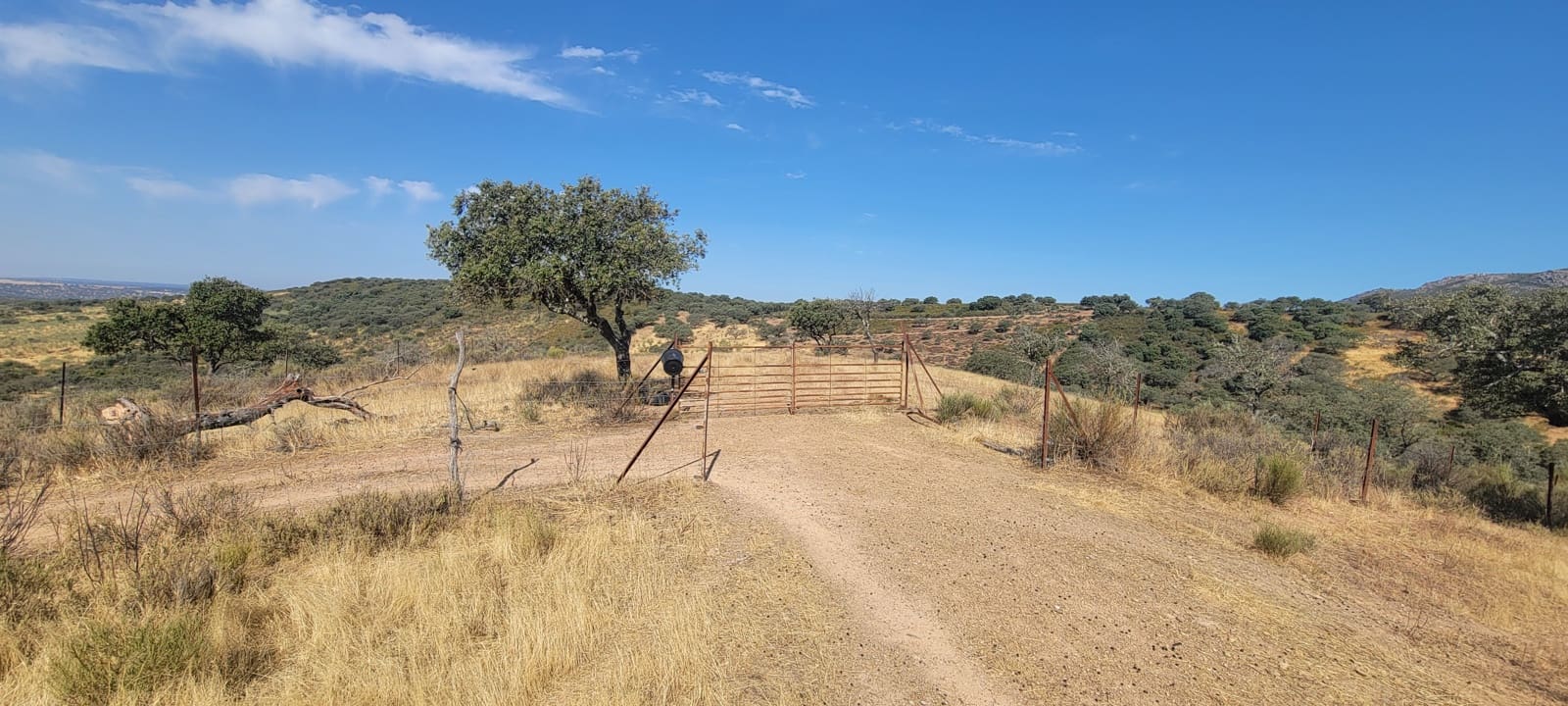 6 Zimmer Finca/Landgut zu verkaufen in Deleitosa mit Pool Garage - 700.000 € (Ref: 9872497)
