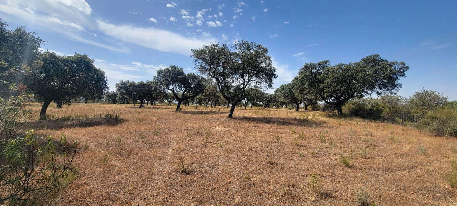 6 Zimmer Finca/Landgut zu verkaufen in Deleitosa mit Pool Garage - 700.000 € (Ref: 9872497)