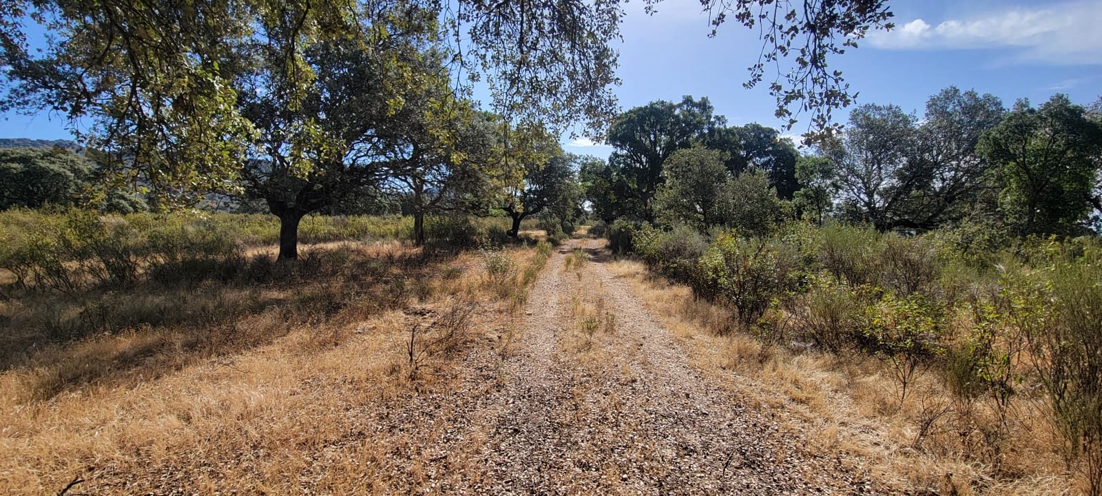 6 Zimmer Finca/Landgut zu verkaufen in Deleitosa mit Pool Garage - 700.000 € (Ref: 9872497)