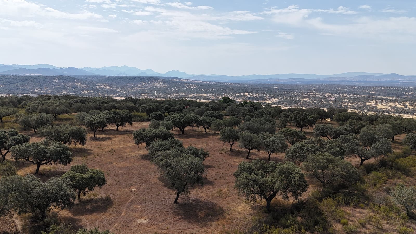6 Zimmer Finca/Landgut zu verkaufen in Deleitosa mit Pool Garage - 700.000 € (Ref: 9872497)