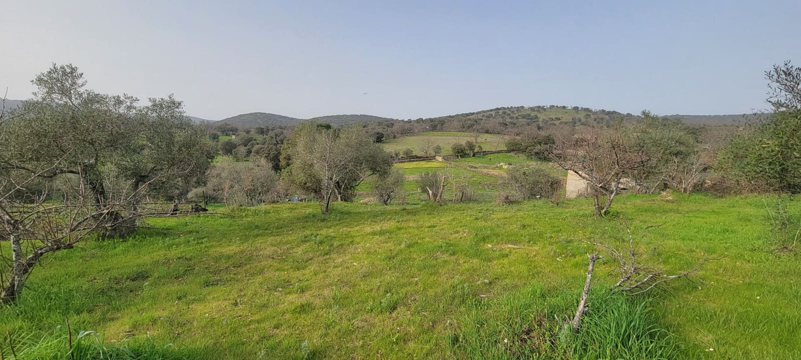 1 bedroom Finca/Country House for sale in Garciaz - € 49,800 (Ref: 9894844)