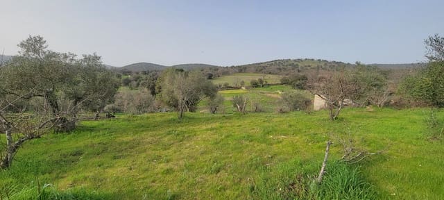 1 bedroom Finca/Country House for sale in Garciaz - € 49,800 (Ref: 9894844)