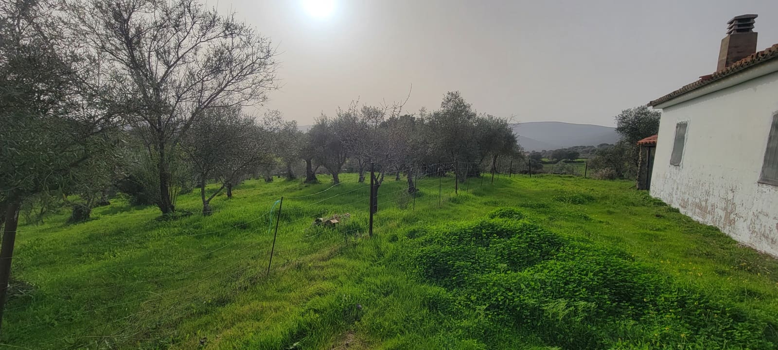 1 bedroom Finca/Country House for sale in Garciaz - € 49,800 (Ref: 9894844)