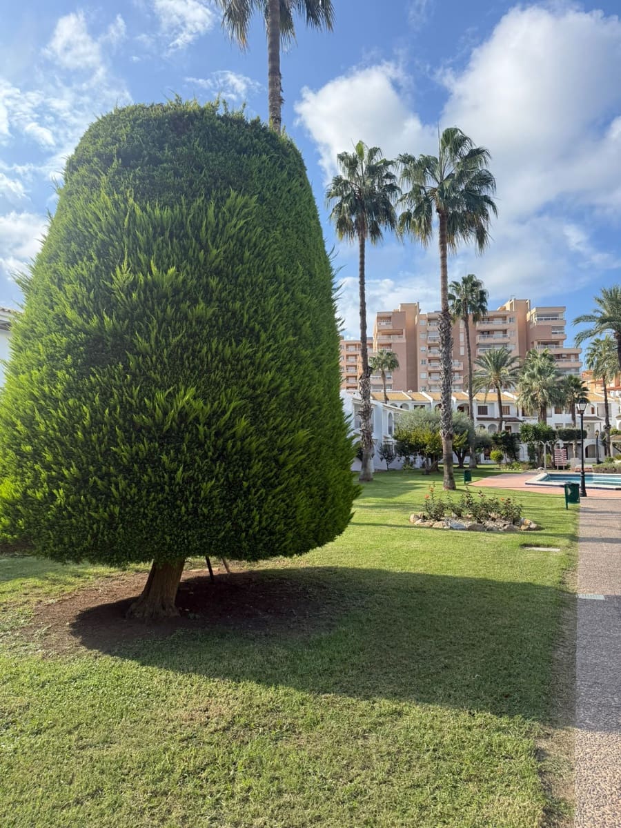 1 soverom Strandleiligheter til salgs i La Manga del Mar Menor med svømmebasseng garasje - € 119 500 (Ref: 9301473)