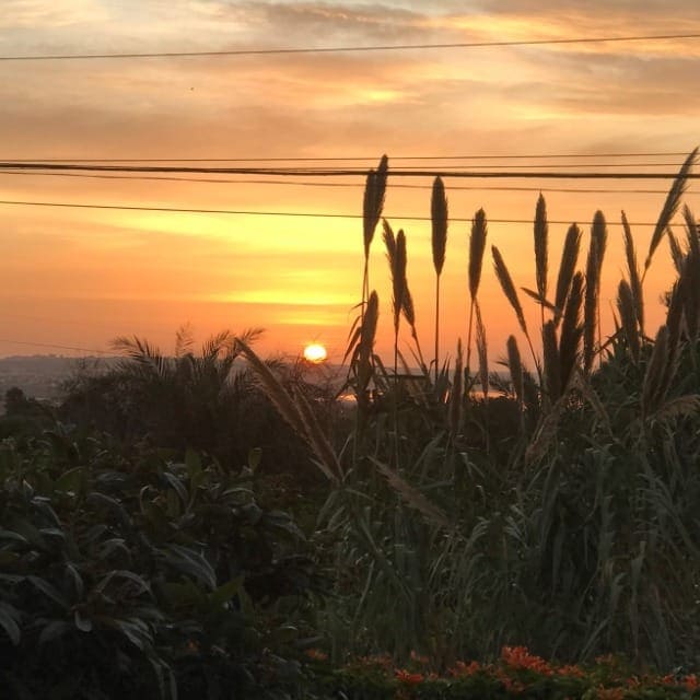 4 sypialnia Willa na sprzedaż w Los Montesinos z basenem garażem - 985 000 € (Ref: 9320031)