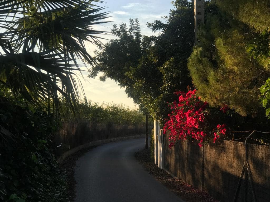 4 sypialnia Willa na sprzedaż w Los Montesinos z basenem garażem - 985 000 € (Ref: 9320031)