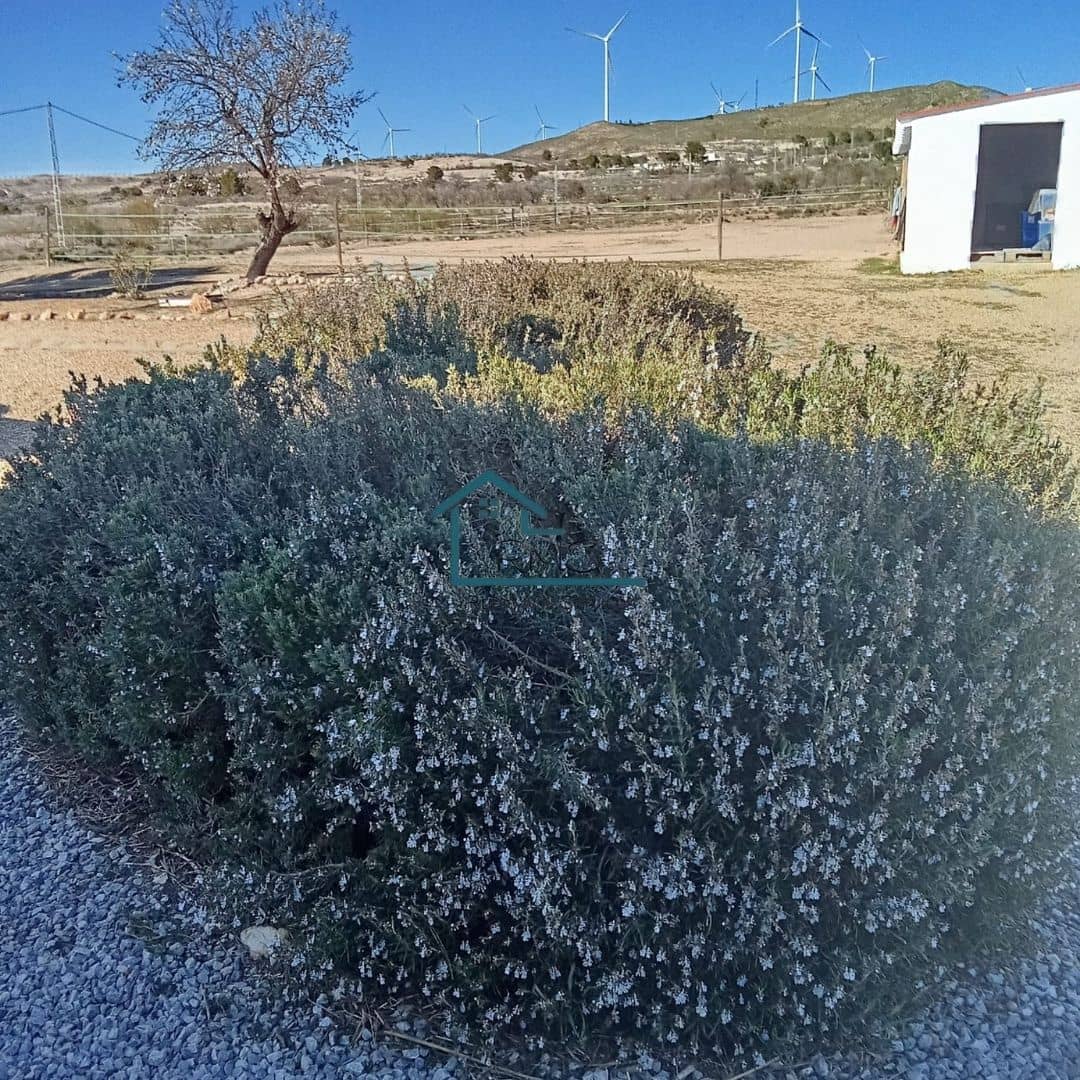 4 soveværelse Villa til salg i Seron med swimmingpool garage - € 374.995 (Ref: 8800545)