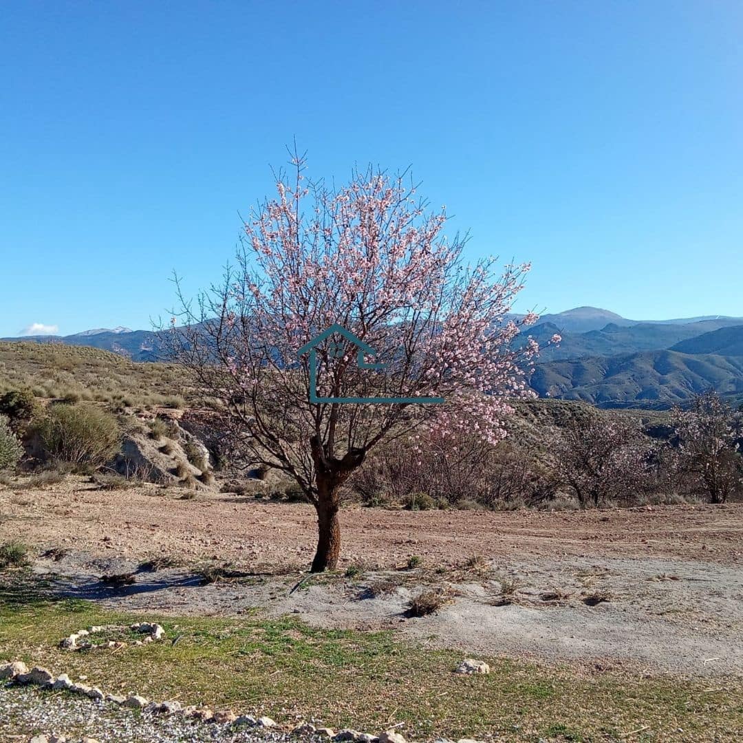 4 soveværelse Villa til salg i Seron med swimmingpool garage - € 374.995 (Ref: 8800545)