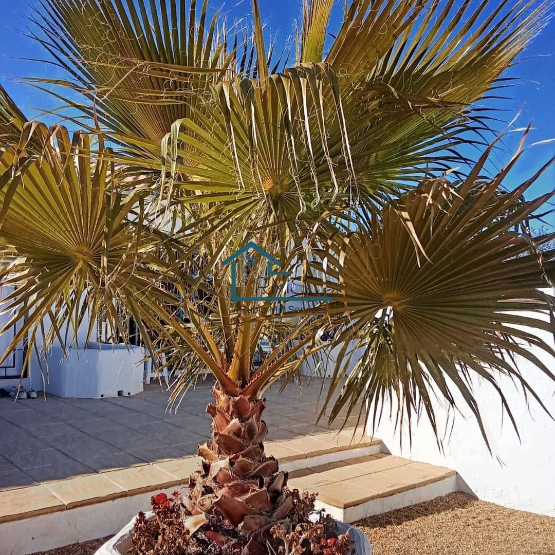 4 soveværelse Villa til salg i Seron med swimmingpool garage - € 374.995 (Ref: 8800545)