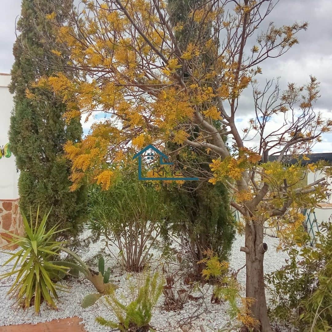 4 slaapkamer Villa te koop in Velez-Rubio met zwembad garage - € 330.000 (Ref: 8864131)