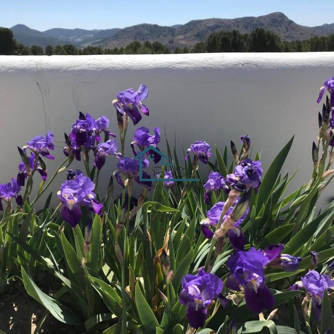 6 soveværelse Finca/Landehus til salg i Chirivel med swimmingpool garage - € 530.000 (Ref: 8971248)