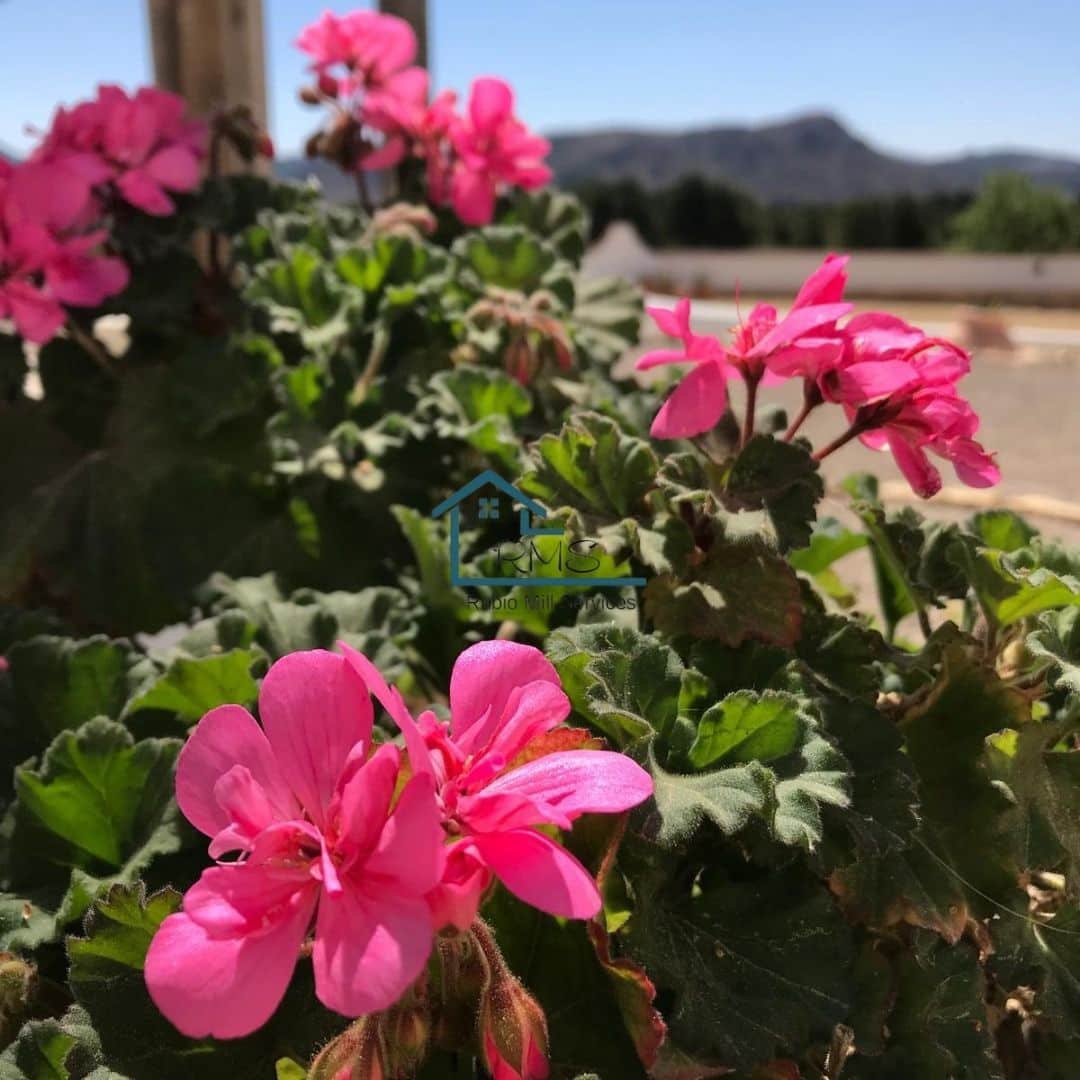 6 soveværelse Finca/Landehus til salg i Chirivel med swimmingpool garage - € 530.000 (Ref: 8971248)