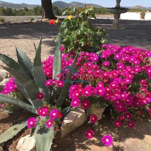 6 soverom Finca/Herregård til salgs i Chirivel med svømmebasseng garasje - € 530 000 (Ref: 8971248)