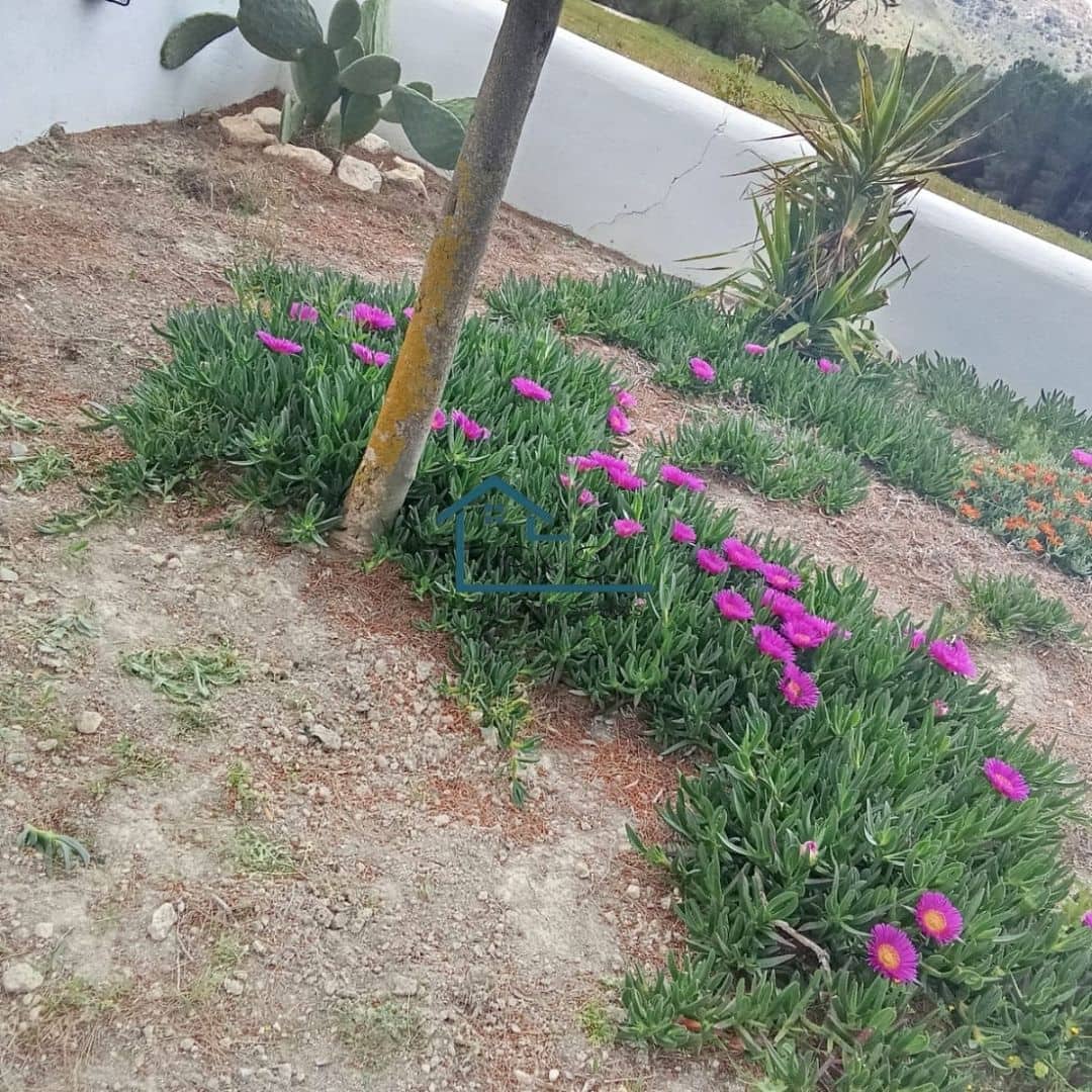 6 soveværelse Finca/Landehus til salg i Chirivel med swimmingpool garage - € 530.000 (Ref: 8971248)