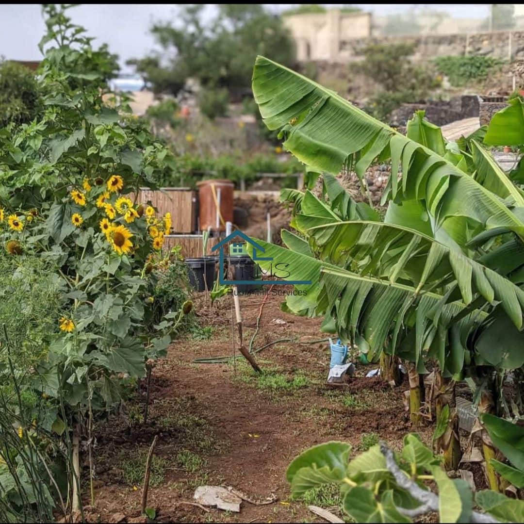 4 soveværelse Villa til salg i Granadilla de Abona med swimmingpool - € 595.000 (Ref: 9218817)