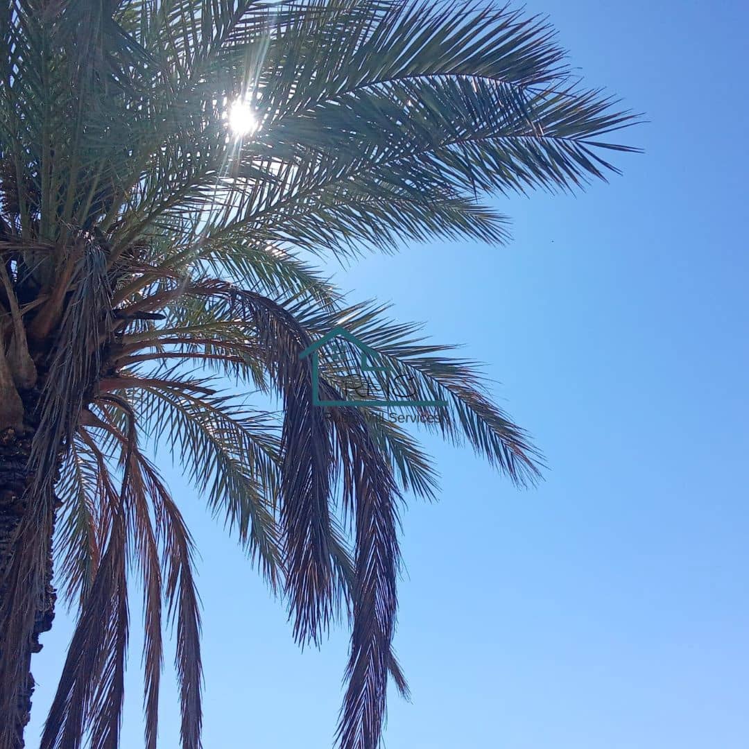 Ruin till salu i Henares - 45 000 € (Ref: 9231256)