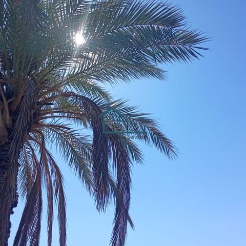 Rudere in vendita in Henares, Lorca - 45.000 € (Rif: 9231256)