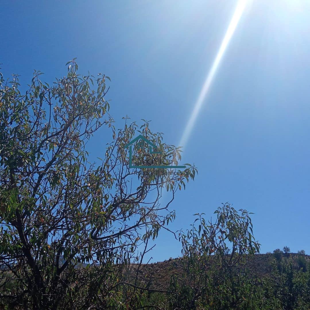 Ruin till salu i Henares - 45 000 € (Ref: 9231256)